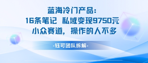 蓝海项目：16条笔记私域变现9750米小众赛道操作的人不多-琴书聊项目