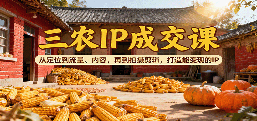 三农IP成交课：从定位到流量、内容，再到拍摄剪辑，打造能变现的IP-琴书聊项目