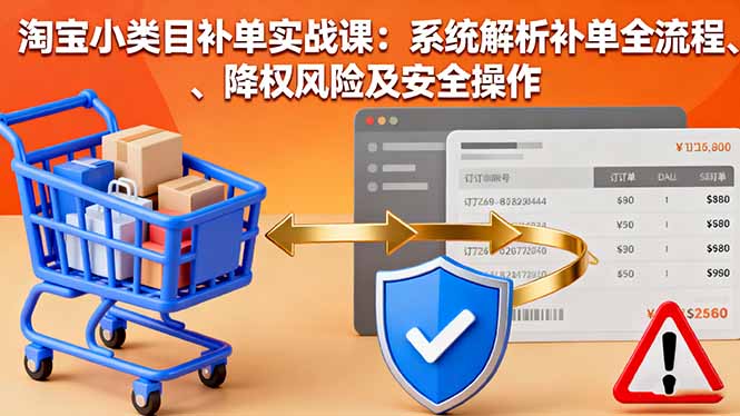 淘宝小类目补单实战课：系统解析补单全流程、降权风险及安全操作-琴书聊项目