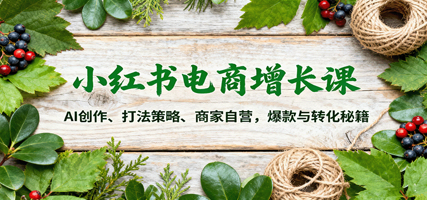 小红书电商增长课：AI创作、打法策略、商家自营，爆款与转化秘籍-琴书聊项目