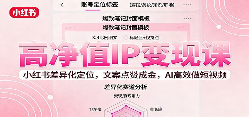 高净值IP变现课：小红书差异化定位，文案点赞成金， AI高效做短视频-琴书聊项目