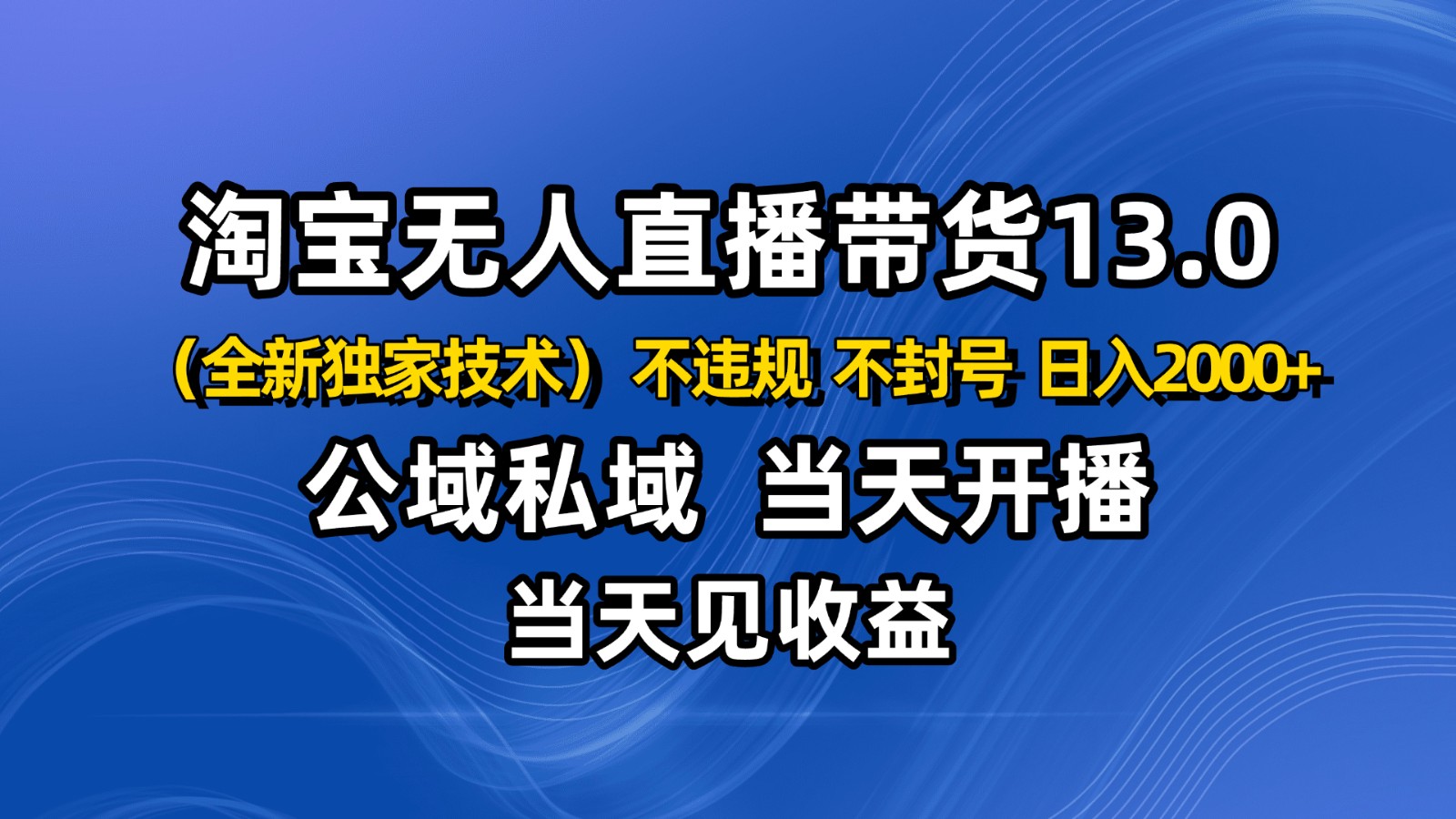淘宝无人直播13.0，公域私域技术，不封号，不违规 布局下半年旺季赛道，日入2000+-琴书聊项目