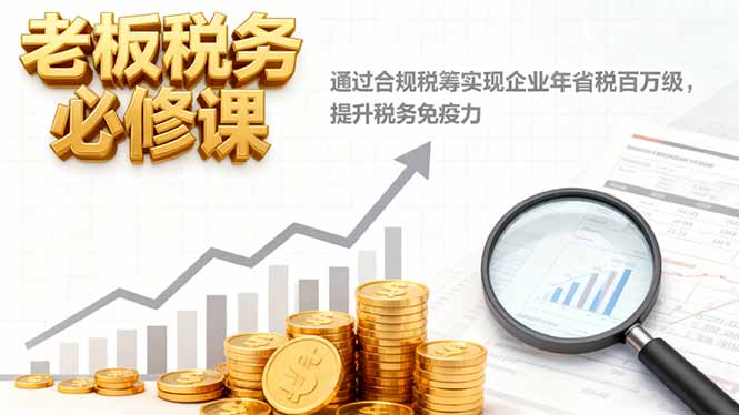 老板税务必修课，通过合规税筹实现企业年省税百万级，提升税务免疫力-琴书聊项目