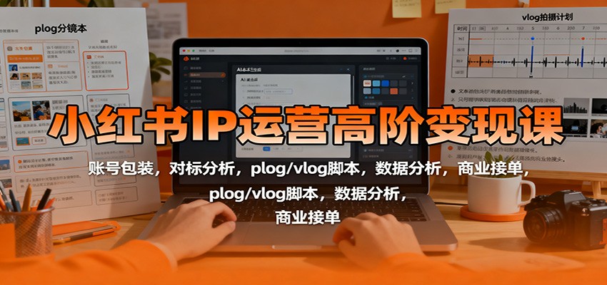 小红书IP运营高阶变现课：账号包装，对标分析，plog/vlog脚本，数据分析，商业接单-琴书聊项目