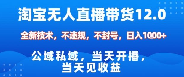 淘宝无人直播12.0，公域私域技术，不封号，不违规布局双十一流量风口，日入1k(独家技术)【揭秘】-琴书聊项目