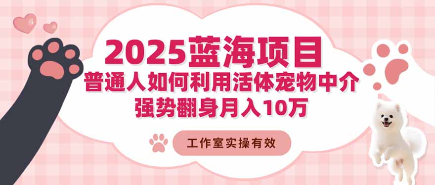 2025蓝海项目：普通人如何利用活体宠物中介，强势翻身月入10万-琴书聊项目