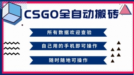 CSGO全自动搬砖，年底钱回家好项目，当天可拿到结果，新手小白轻松月入1W+【揭秘】-琴书聊项目