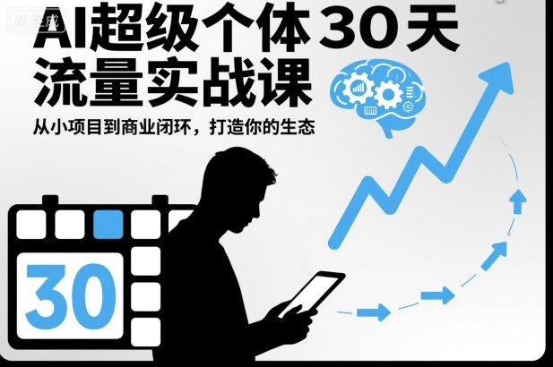 AI超级个体30天流量实战课，从小项目到商业闭环，打造你的生态-琴书聊项目
