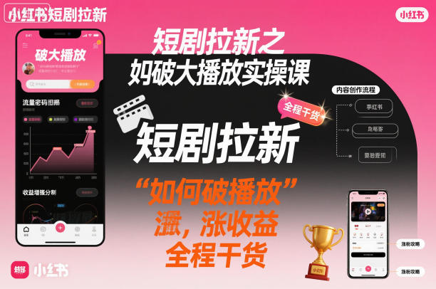 短剧拉新之小红书如何破大播放实操课，如何破播放，涨收益，全程干货-琴书聊项目