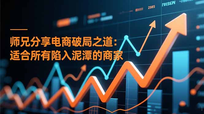 师兄分享电商破局之道：适合所有陷入泥潭的商家-琴书聊项目