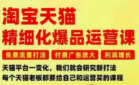 淘宝天猫精细化爆品运营课，免费流量打法-付费广告放大-利润增长-三大核心痛点，一次全部解决-琴书聊项目