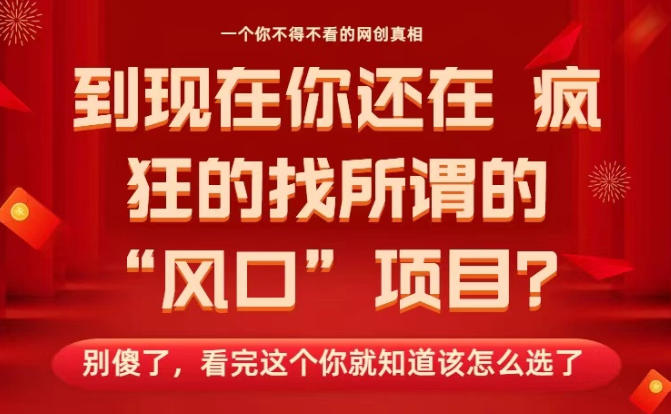 马上26年了，你还在找所谓的风口项目？别傻了，看完这个你全都懂了！【揭秘】-琴书聊项目
