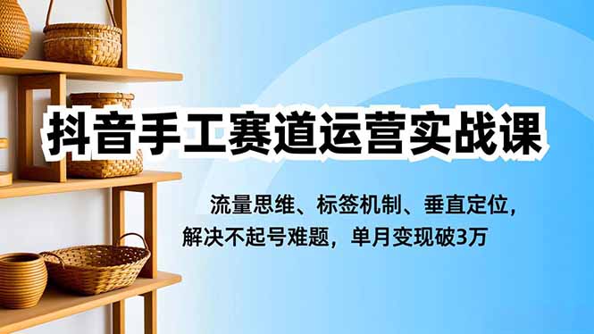 抖音手工赛道运营实战课，流量思维、标签机制、垂直定位，解决不起号难题，单月变现破3万-琴书聊项目