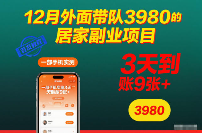 12月外面带队3980的居家副业项目，一部手机实测3天到账9张+，首发教程【揭秘】-琴书聊项目