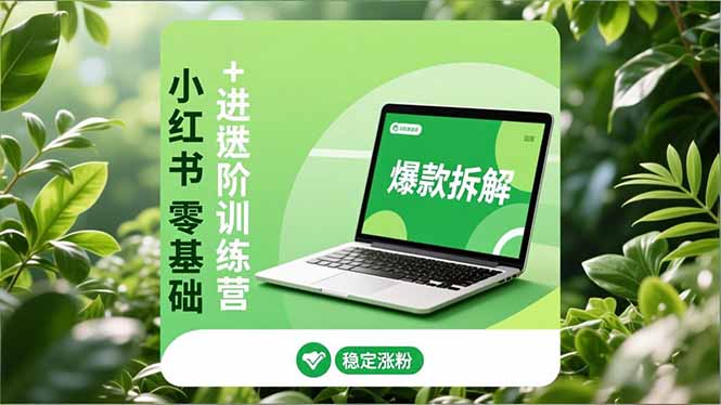小红书零基础+高阶训练营：安全养号、爆款拆解、长效运营，实现稳定涨粉与变现-琴书聊项目