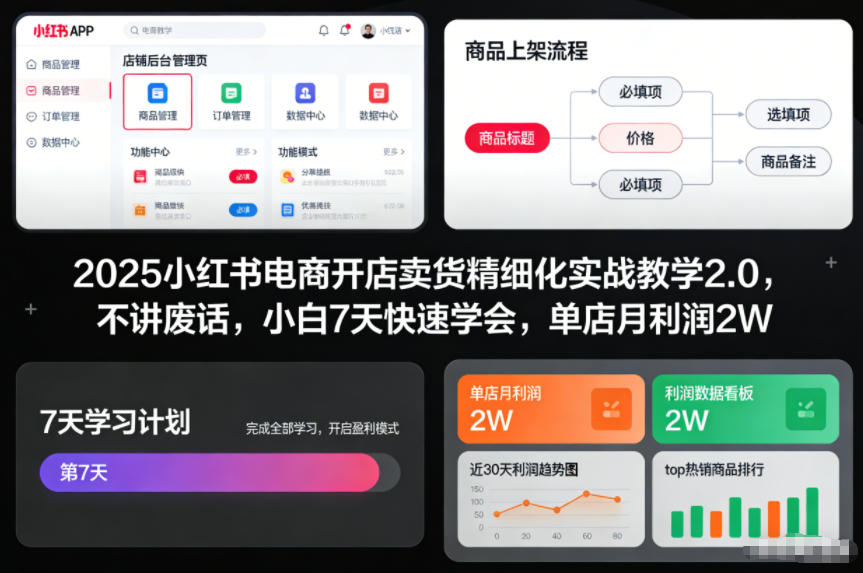 2025小红书电商开店卖货精细化实战教学2.0，不讲废话，小白7天快速学会，单店月利润2W-琴书聊项目