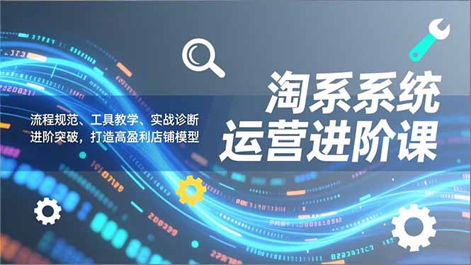 淘系系统运营进阶课2.0，流程规范、工具教学、实战诊断，进阶突破，打造高盈利店铺模型-琴书聊项目