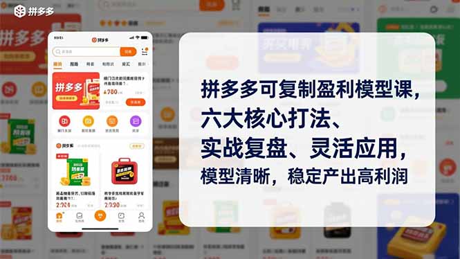 拼多多可复制盈利模型课，六大核心打法、实战复盘、灵活应用，模型清晰，稳定产出高利润-琴书聊项目