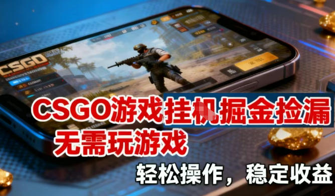 CSGO游戏挂G掘金捡漏，不需要玩游戏，操作简单，收益稳定【揭秘】-琴书聊项目