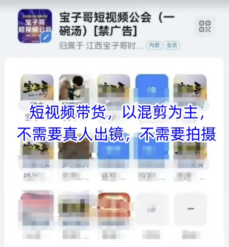 宝子哥头部团队短视频带货，以混剪为主，不需要真人出镜，不需要拍摄【更新12月】-琴书聊项目