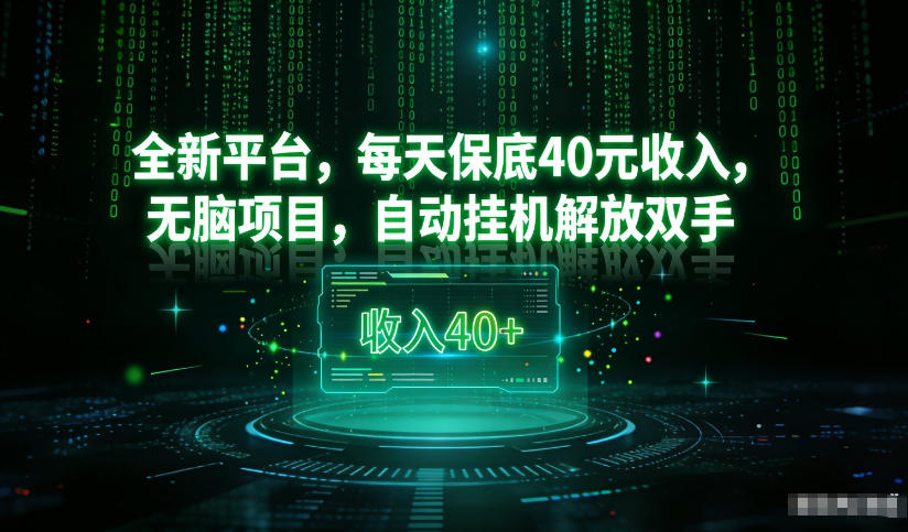 最新看广平台，每天保底30-4米，无脑项目，自动挂G解放双手【揭秘】-琴书聊项目