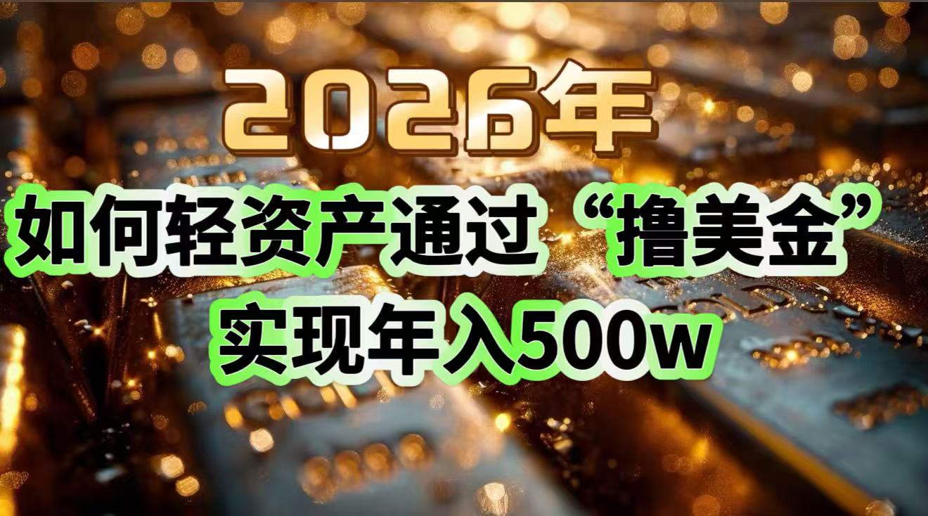 2026年如何轻资产通过“撸美金”实现年入500w-琴书聊项目