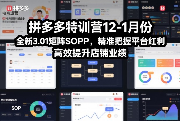 拼多多特训营12-1月份，全新3.01矩阵Sop，精准把握平台红利，高效提升店铺业绩-琴书聊项目