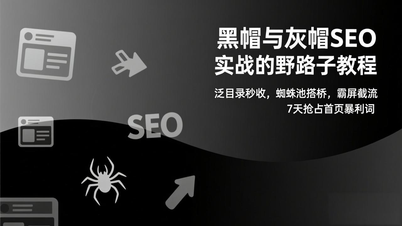 黑帽与灰帽SEO实战的野路子教程：泛目录秒收，蜘蛛池搭桥，霸屏截流，7天抢占首页暴利词-琴书聊项目