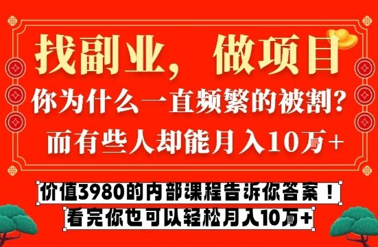 价值3980的网创内部课程，告诉你互联网创业月入10个W的秘密【揭秘】-琴书聊项目