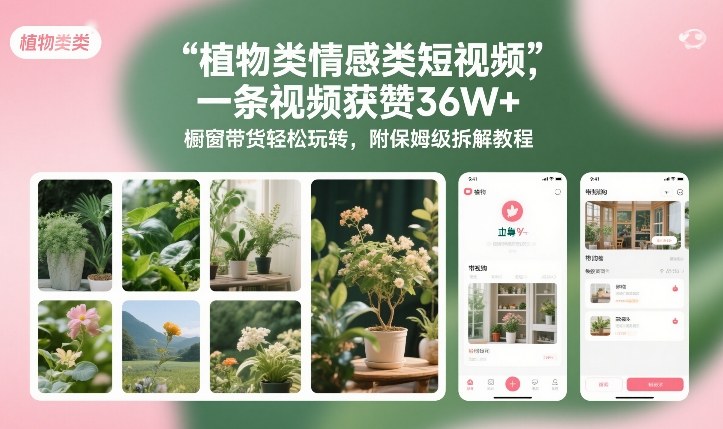 植物类情感类短视频，一条视频获赞36W+，橱窗带货轻松玩转，附保姆级拆解教程-琴书聊项目