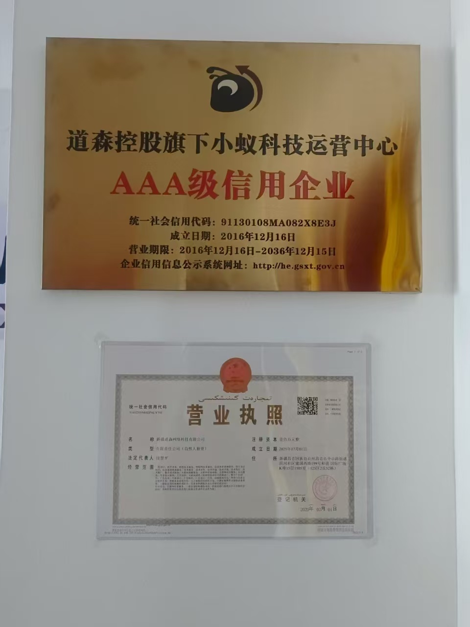 试卷问答，一天稳定300+，小白可做，免费教学-琴书聊项目