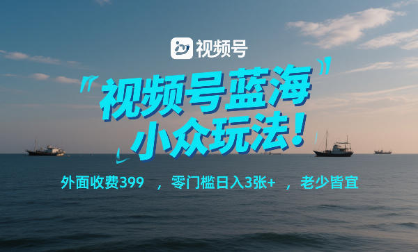 视频号蓝海小众玩法！外面收费399，零门槛日入3张+，老少皆宜-琴书聊项目