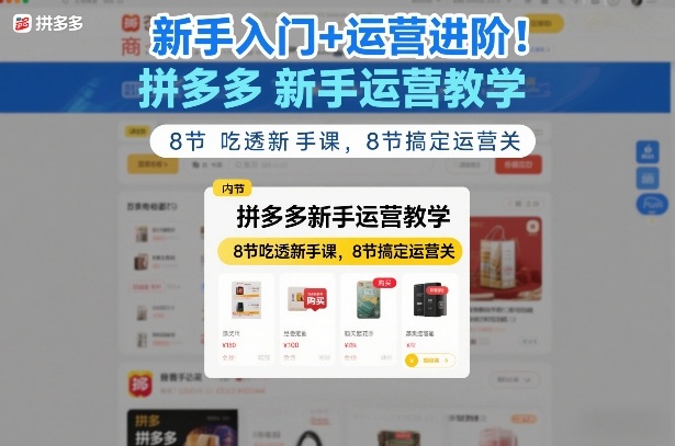 新手入门+运营进阶！拼多多新手运营教学，8节吃透新手课，8节搞定运营关-琴书聊项目