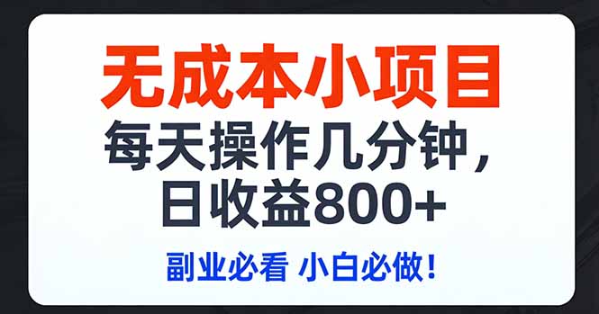 无成本小项目,每天操作几分钟,日收益800+ 副业必看 小白必做！-琴书聊项目