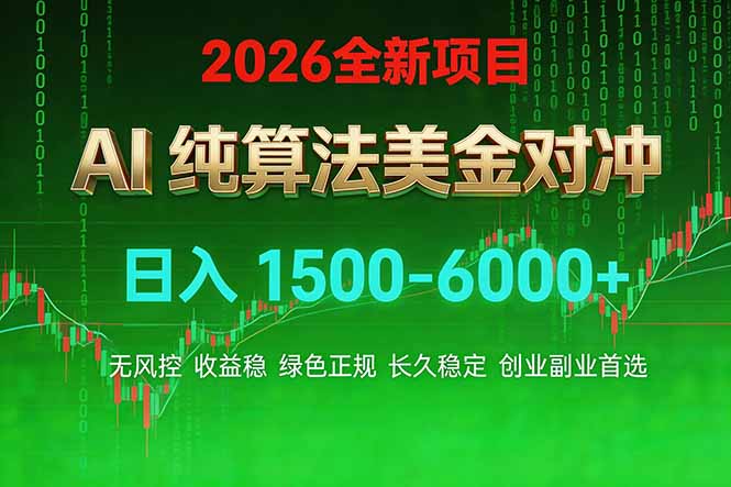 2026 全新美金对冲项目，不套平台赠金，不封号，纯算法对冲，日入 1500-6000+-琴书聊项目
