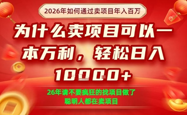一单净利润1K+，26年想年入100个W，死磕卖项目就够了【揭秘】-琴书聊项目