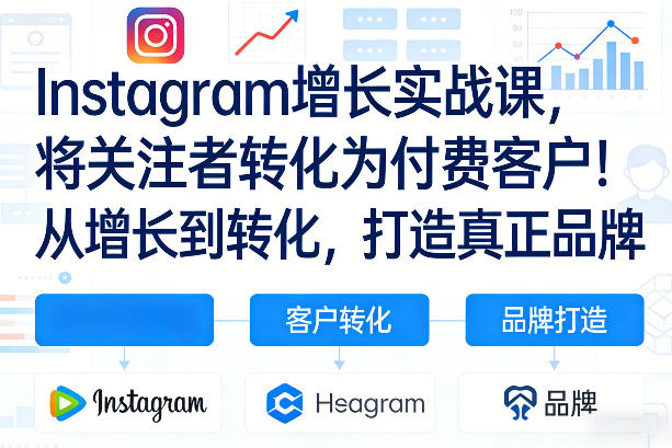 Instagram增长实战课，将关注者转化为付费客户！从增长到转化，打造真正品牌(双语字幕)-琴书聊项目