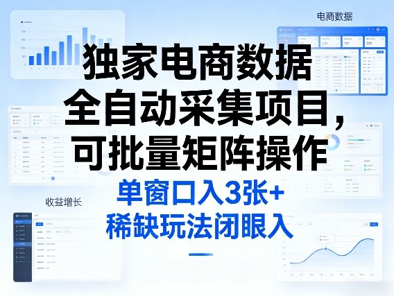 独家电商数据全自动采集项目，可批量矩阵操作，单窗口日入3张+，稀缺玩法闭眼入【揭秘】-琴书聊项目