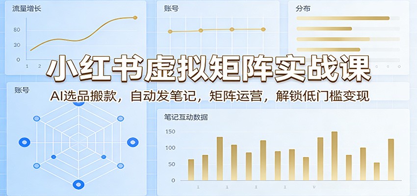小红书虚拟矩阵实战课：AI选品搬款，自动发笔记，矩阵运营，解锁低门槛变现-琴书聊项目