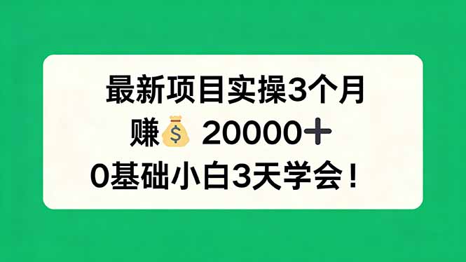 最新项目实操3个月，赚钱20000+，0基础小白3天学会！-琴书聊项目