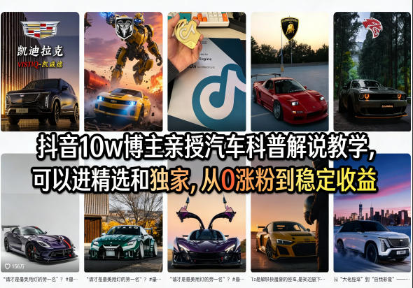 抖音10w博主亲授汽车科普解说教学，可以进精选和独家，从0涨粉到稳定收益(详细视频课程+1T素材)-琴书聊项目