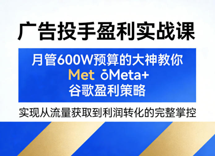 广告投手盈利实战课，月管600W预算的大神教你Meta+谷歌盈利策略，实现从流量获取到利润转化的完整掌控-琴书聊项目