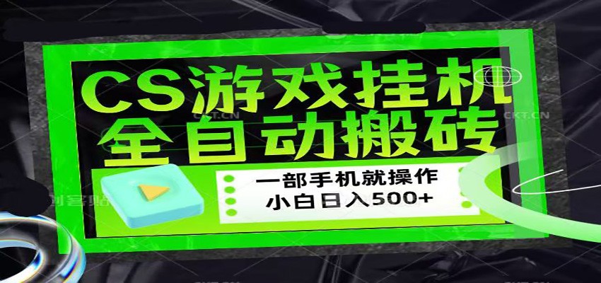 CSGO游戏挂机捡漏搬砖，超稳定的项目，带领1000+小白实现日入500+-琴书聊项目