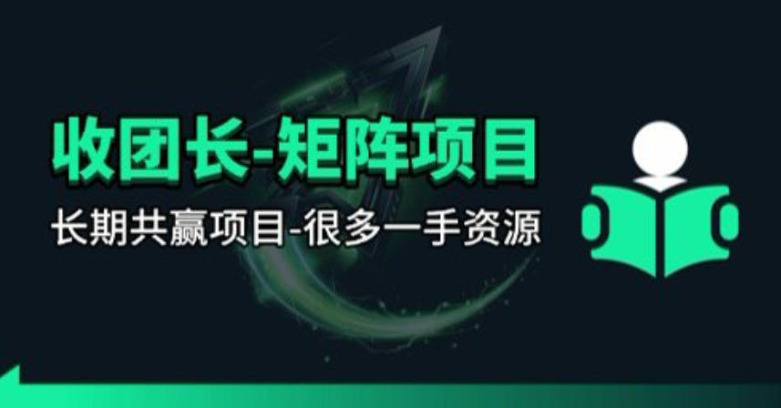 【团长合作】视频矩阵项目_招发手矩阵+剪辑师，共赢项目【揭秘】-琴书聊项目