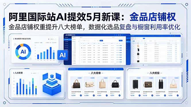 阿里国际站AI提效5月新课：金品店铺权重提升八大榜单，数据化选品复盘与橱窗利用率优化-琴书聊项目