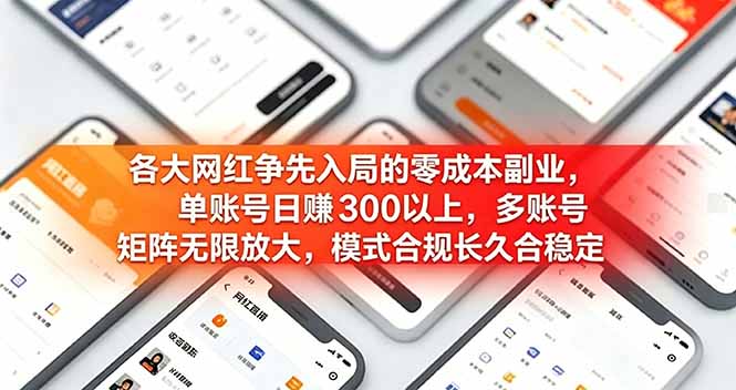 各大网红争先入局的零成本副业，单账号日赚 300 以上，多号矩阵可放大，模式合规长久稳定！-琴书聊项目