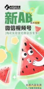梅花实验室2024年AB技术视频号AB合成破解版-琴书聊项目