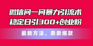 微信问一问暴力引流术，稳定日引300+创业粉，最新方法，条条爆款【揭秘】-琴书聊项目