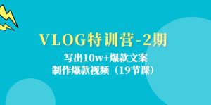 VLOG特训营第2期：写出10w+爆款文案，制作爆款视频（18节课）-琴书聊项目