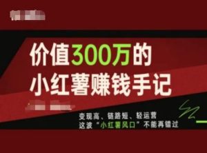 价值300万的小红书赚钱手记,变现高、链路短、轻运营,这波“小红薯风口”不能再错过-琴书聊项目
